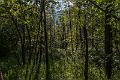2016_06_06 (0005)